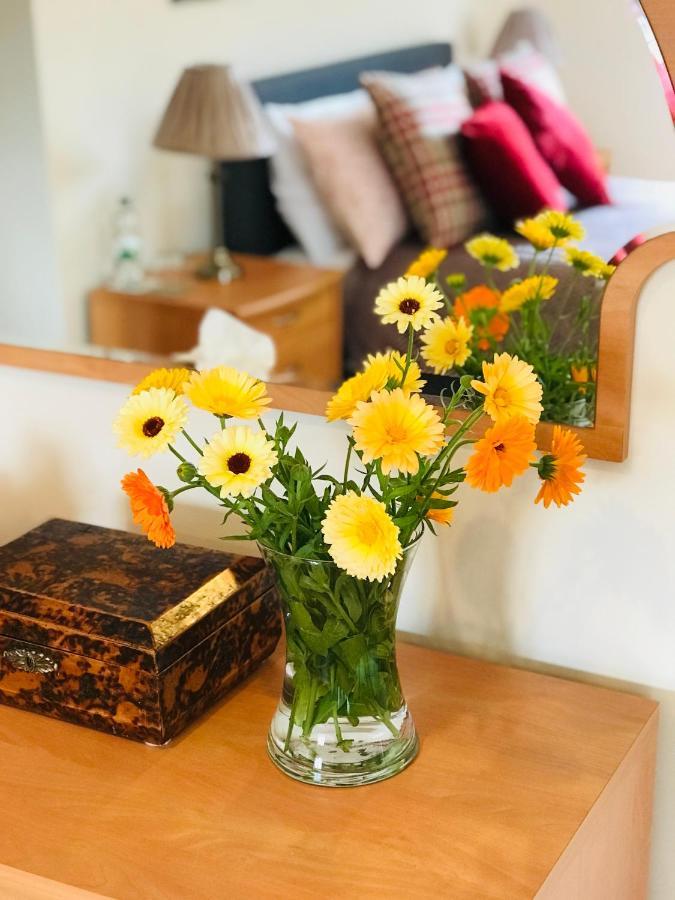 Charming Hen Cottage Countryside Retreat Lincoln Newball Buitenkant foto